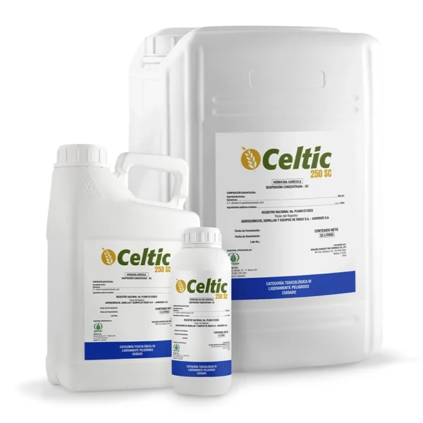 Celtic