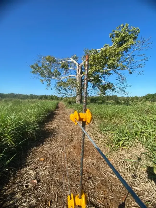 Aislador para Cinta de Cerca Eléctrica - Imagen 4