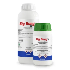 Big Bang OD