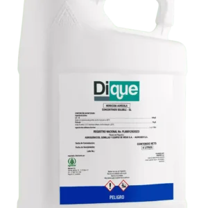 Dique