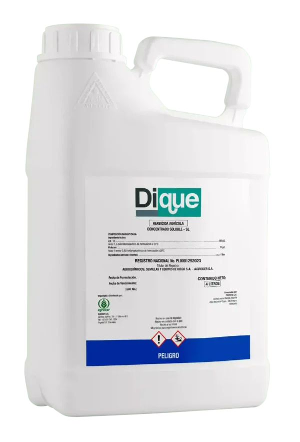 Dique