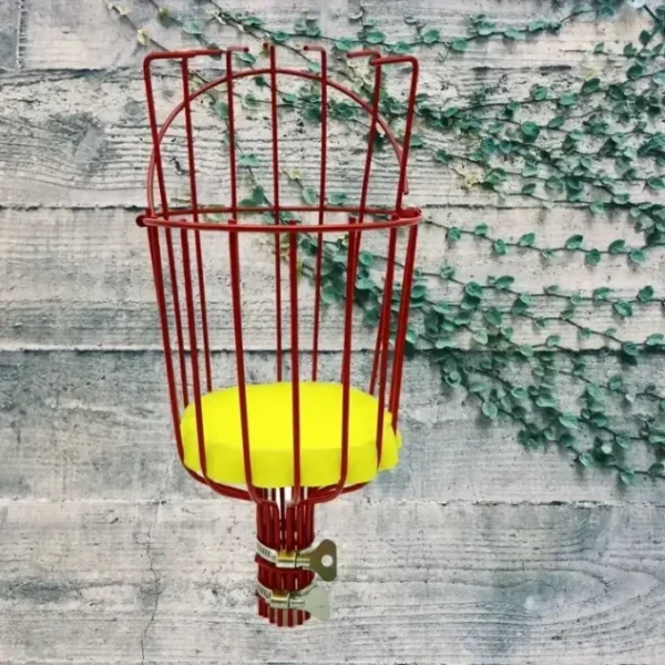 Recolector de frutas - Imagen 2