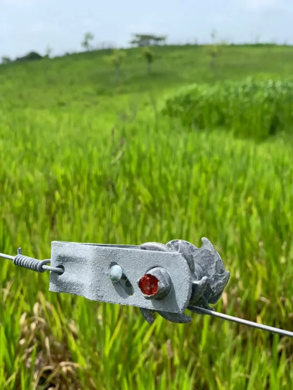 Tensor de Alambre Galvanizado Caliente - Imagen 4