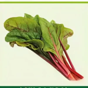 Semillas de Acelga Roja
