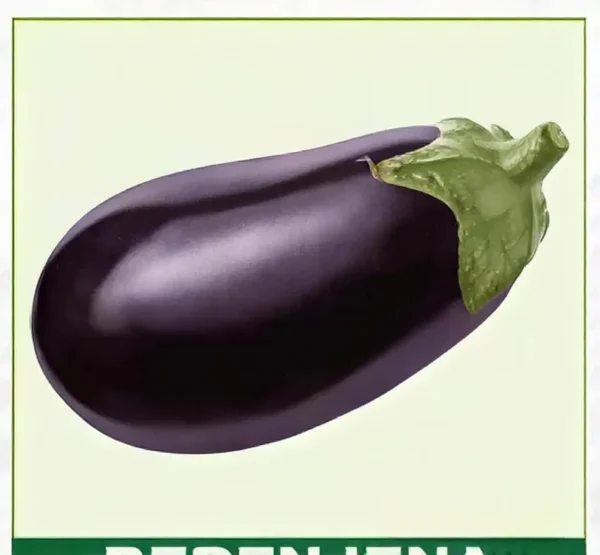 Semillas de Berenjena
