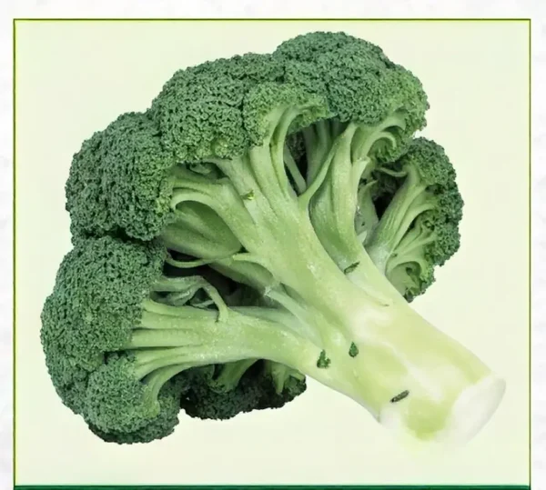 Semillas de Brócoli