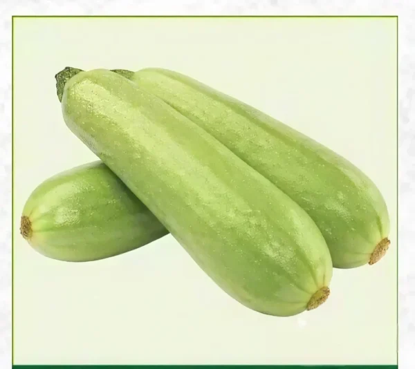 Semillas de Calabaza