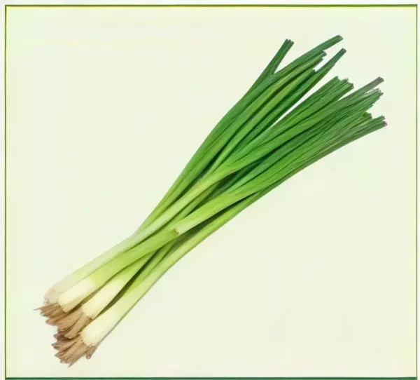 Semillas de Cebolla Larga