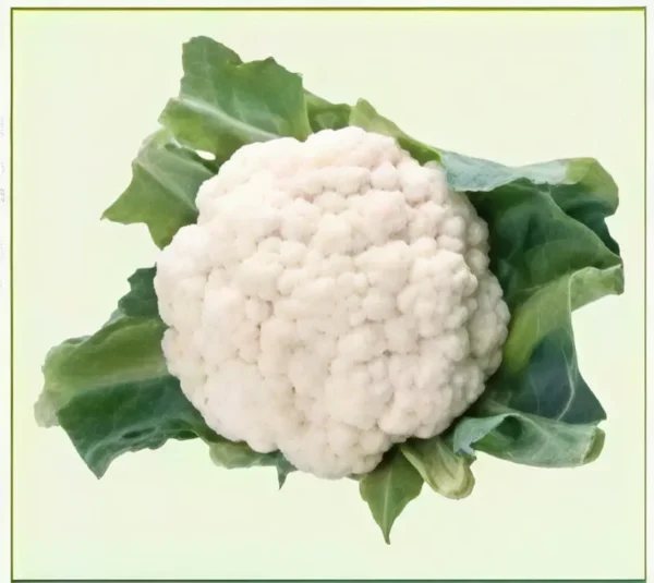 Semillas de Coliflor