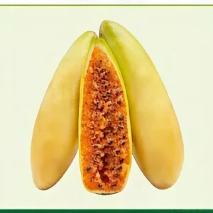 Semillas de Curuba