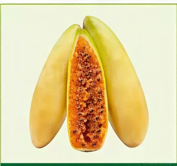 Semillas de Curuba