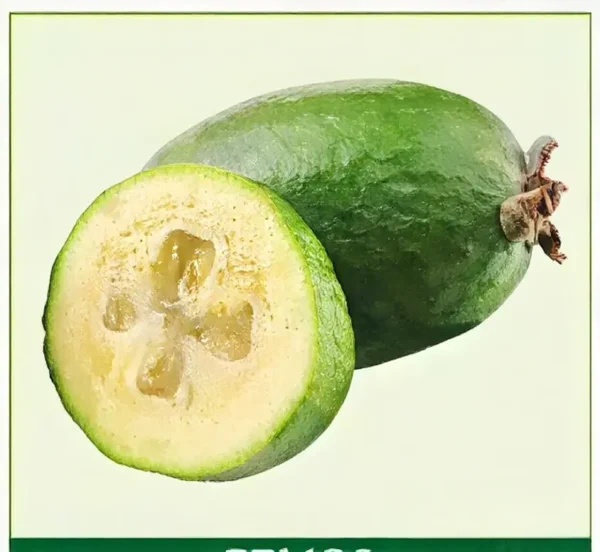 Semillas de Feijoa