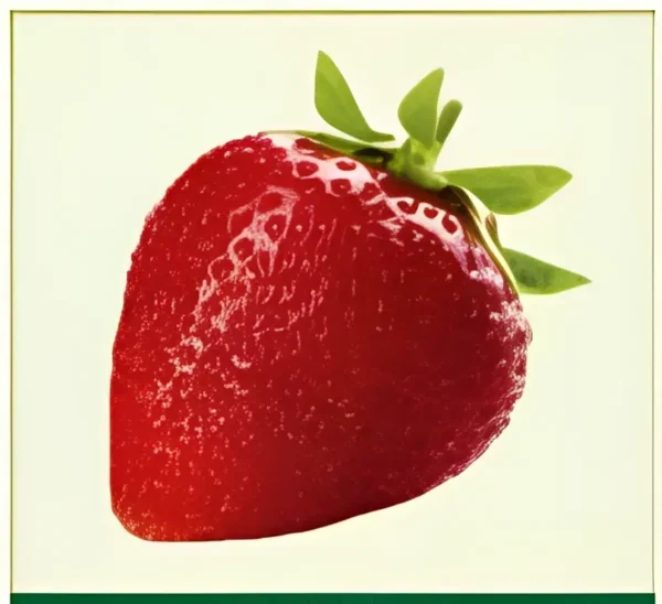 Semillas de Fresa
