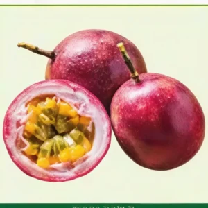 Semillas de Guayaba