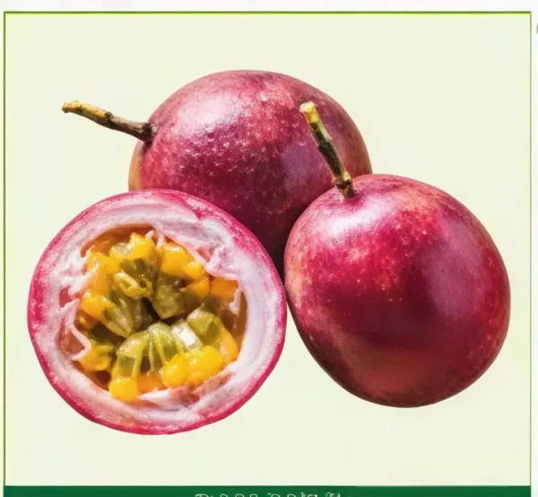 Semillas de Guayaba