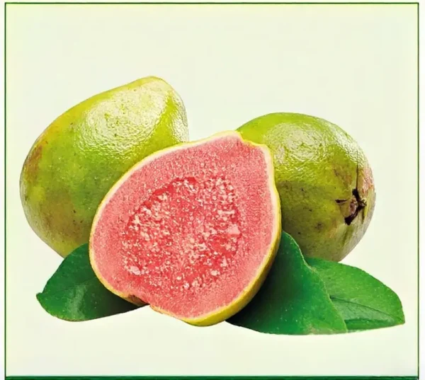 Semillas de Guayaba Pera