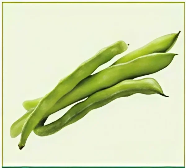 Semillas de Habichuela