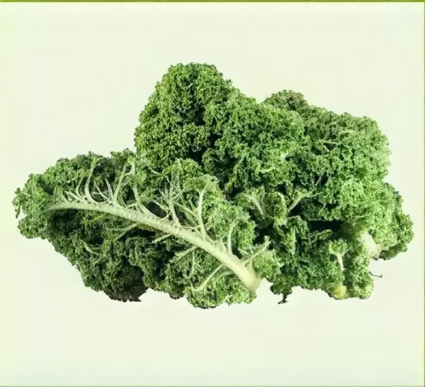 Semillas de Kale