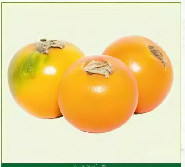 Semillas de Lulo