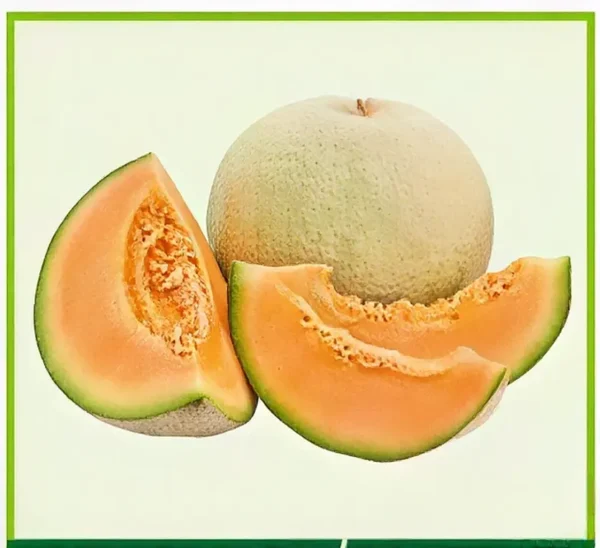 Semillas de Melón
