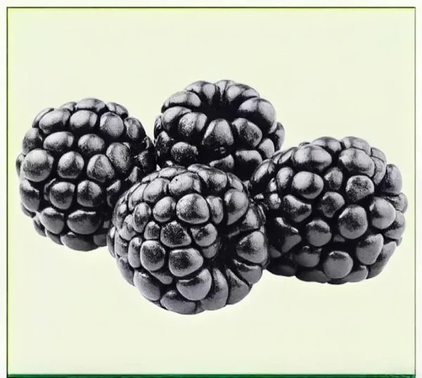 Semillas de Mora