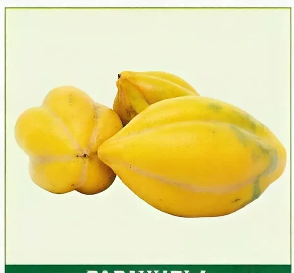 Semillas de Papayuela