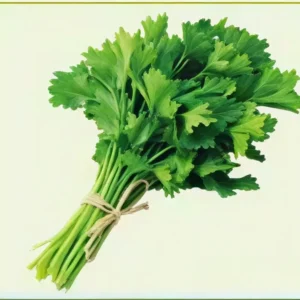 Semillas de Perejil Liso