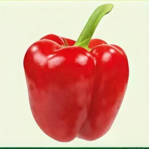 Semillas de Pimentón