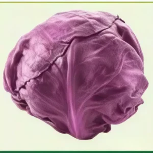 Semillas de Repollo Morado