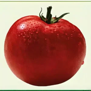 Semillas de Tomate Milano