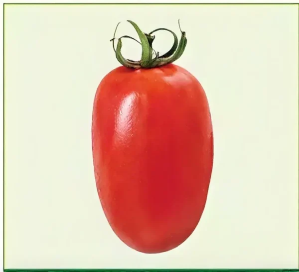 Semillas de Tomate Riofuego