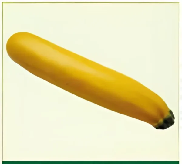 Semillas de Zucchini