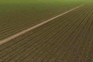 fertilizante de nitrato de sodio