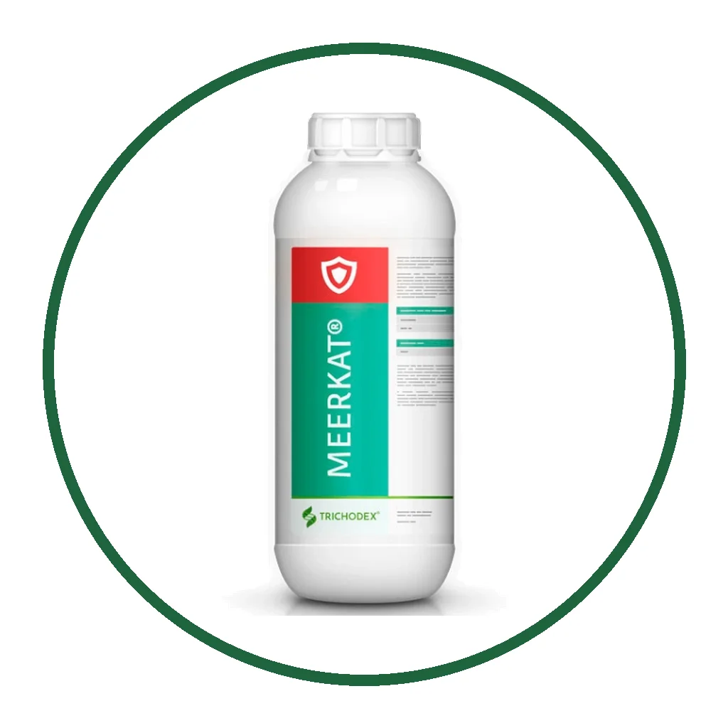 Home Venta de Herramientas Agricolas