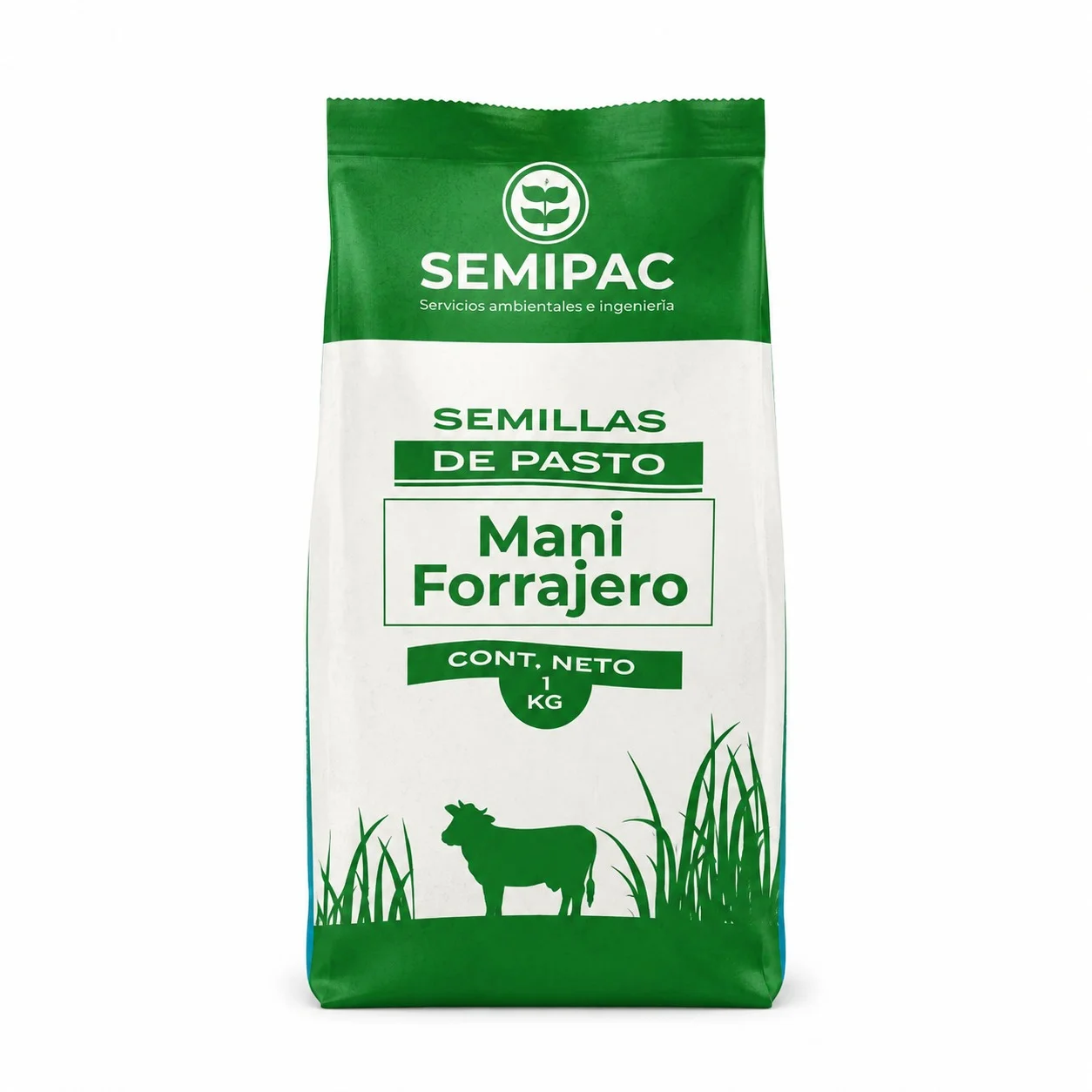 Semilla de maní forrajero