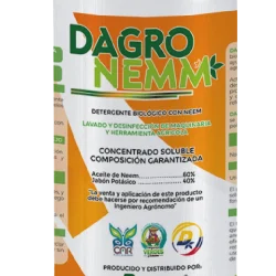 Dagronem