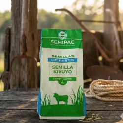 semilla de pasto Kikuyo Tropical