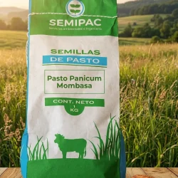 Semillas de Pasto MOMBASA