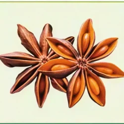 Semillas de Anís