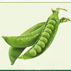 Semillas de Arveja