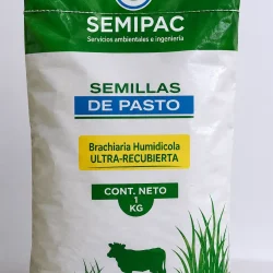Semilla de Pasto Llanero Brachiaria humidicola