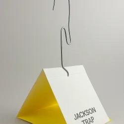 trampa Jackson